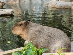 -北京野生动物园