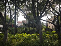 -顺峰山公园