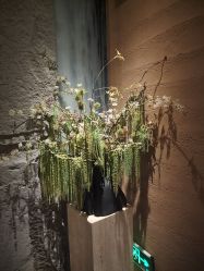 -禾美科技美肤·芳香疗愈SPA联合会所