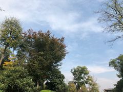 -红豆杉庄会议中心