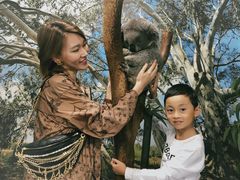 -费瑟代尔野生动物园