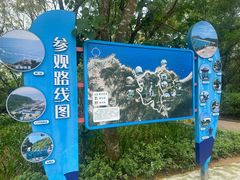 -广东惠东海龟国家级自然保护区