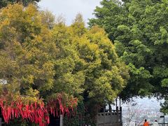 -神光山国家森林公园