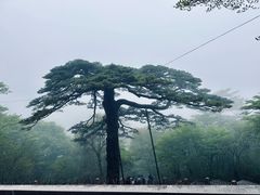 -黄山风景区