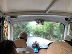 -盐城丹顶鹤湿地生态旅游区