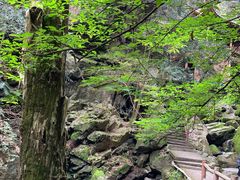 -藏龙百瀑风景区