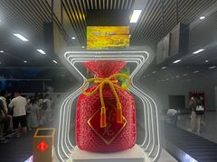 -张家界荷花国际机场