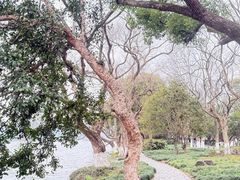 -中国茶叶博物馆(双峰馆区)