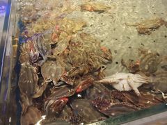 -澜悦港海鲜体验主题餐厅