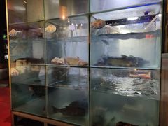-蛙鱼道美蛙鱼自助火锅(新耍都店)