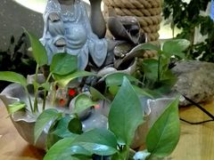-茶油香闽南菜·花园餐厅(前埔店)