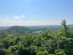 -上海佘山国家森林公园西佘山园