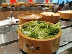 -龍歌自助小火锅(市南金茂湾店)