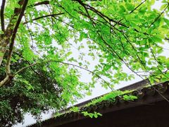 -杭州西湖风景名胜区-白苏二公祠