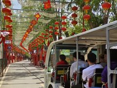 -北戴河集发农业梦想王国