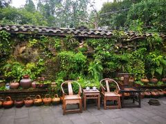 -青城甲(青城山店)