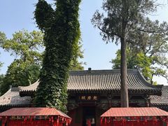 -晋祠公园