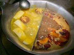 红颜花胶鸡锅-湊湊火锅·茶憩(东城万达店)