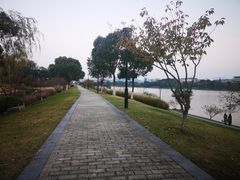 -羊山湖公园