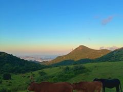 -大姆山草场