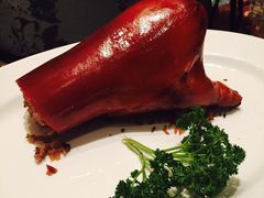 -8餐厅(新葡京酒店)