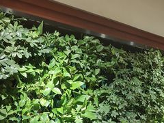 -巴奴毛肚火锅(广益哥伦布店)