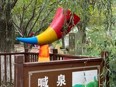 -石岛赤山风景区