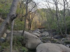 -云岫谷自然风景区