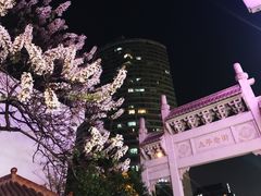 -太平老街