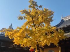 -龙华寺