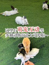 -萌宠亲子动物乐园(槐房万达店)