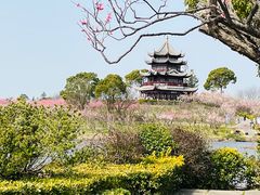 -上海海湾国家森林公园