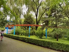 -朝阳公园游乐园