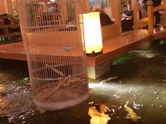 -松子料理(亮马桥店)