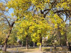 -肯德基(珠峰店)