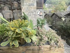 -MOJ coffee(瓯海泽雅水碓坑店)