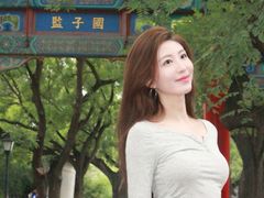 -北京国子监胡同