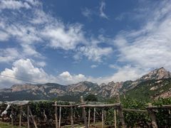 -大芦花风景区