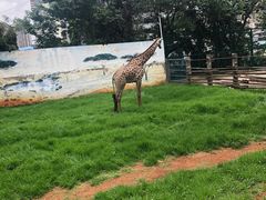 -昆明动物园