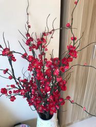 -阅年轻·AI家庭健康体质调理