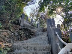 -梧桐山风景名胜区