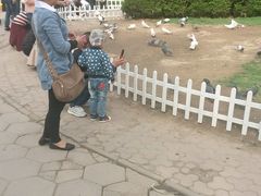 android_upload_pic-迎泽公园