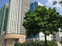 -顺德君豪酒店(佛山容桂渔人码头店)