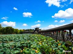 -观桥阁(锦溪店)