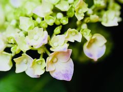 -星光摄影器材城