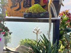 -野菌皇海景野生菌火锅(滨海大道店)