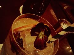 PineappleArtisan-顶层酒吧ROOF(上海艾迪逊酒店)