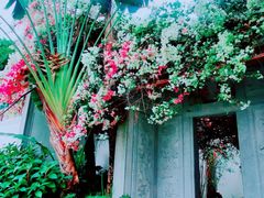 -深圳国际园林花卉博览园