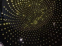 -君悦酒店·1881·北京烤鸭