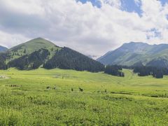 -新疆那拉提国家旅游度假区